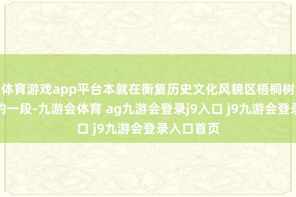 體育游戲app平臺本就在衡復(fù)歷史文化風(fēng)貌區(qū)梧桐樹蔭最濃密的一段-九游會體育 ag九游會登錄j9入口 j9九游會登錄入口首頁