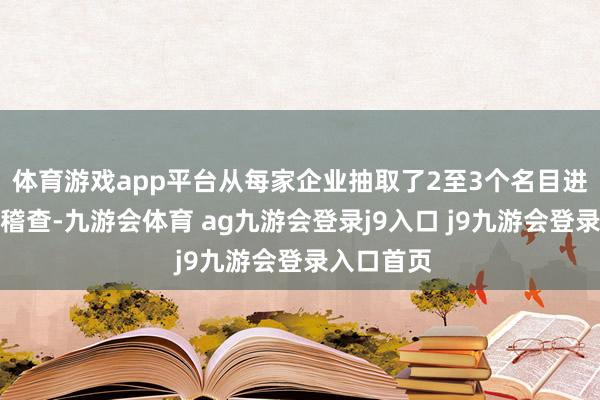 體育游戲app平臺(tái)從每家企業(yè)抽取了2至3個(gè)名目進(jìn)行了現(xiàn)場(chǎng)稽查-九游會(huì)體育 ag九游會(huì)登錄j9入口 j9九游會(huì)登錄入口首頁(yè)